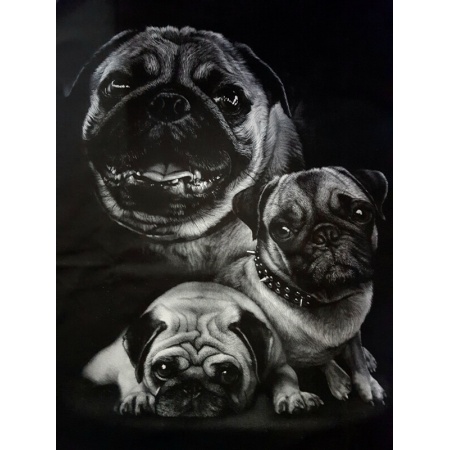 shirts-015